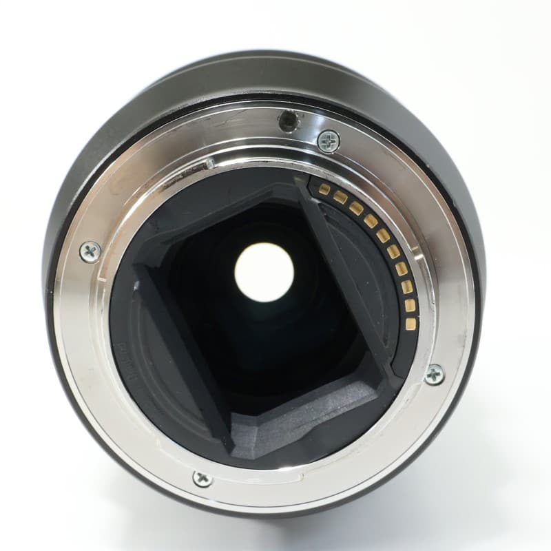 FE 90mm F2.8 Macro G OSS SEL90M28G