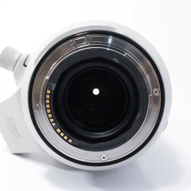 RF100-500mm F4.5-7.1 L IS USM