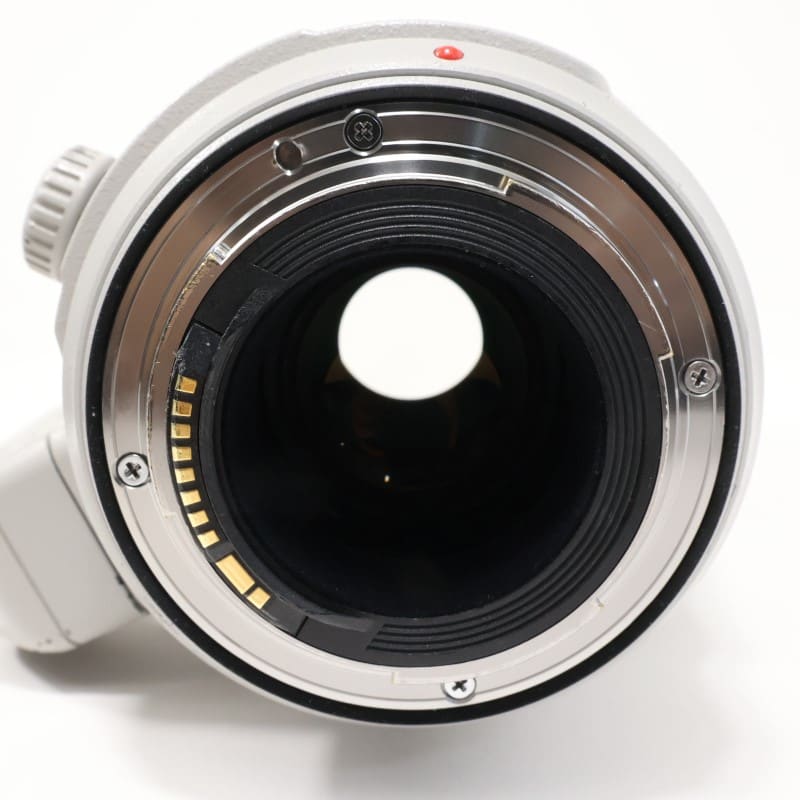 EF100-400mm F4.5-5.6L IS II USM