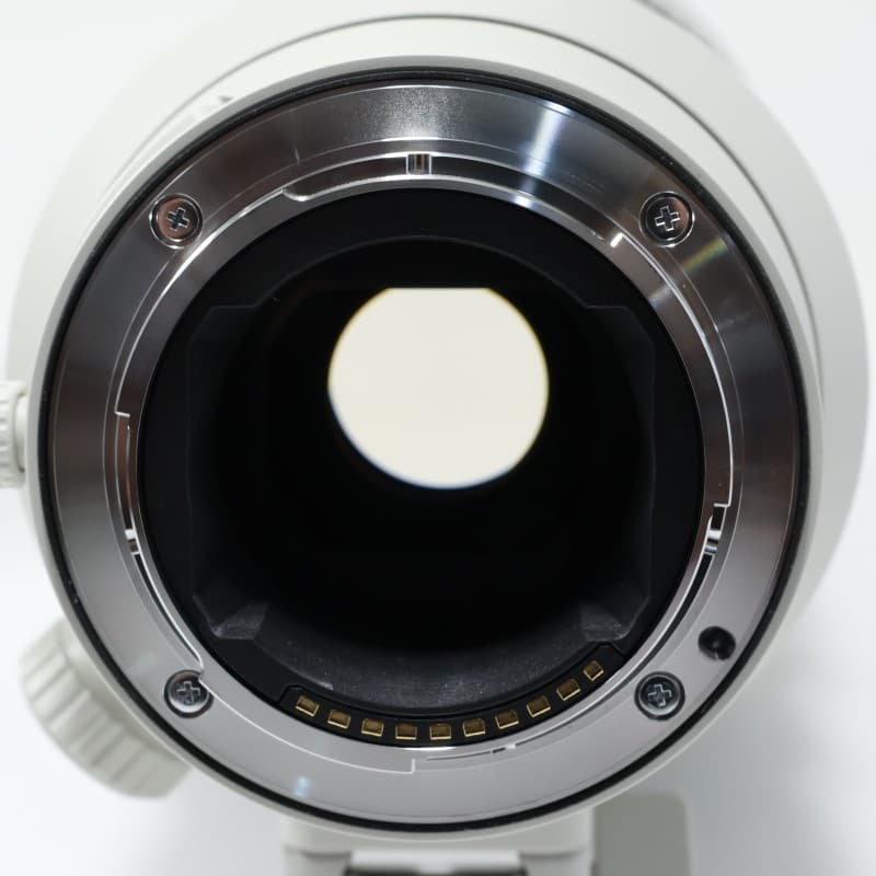 FE 300mm F2.8 GM OSS SEL300F28GM