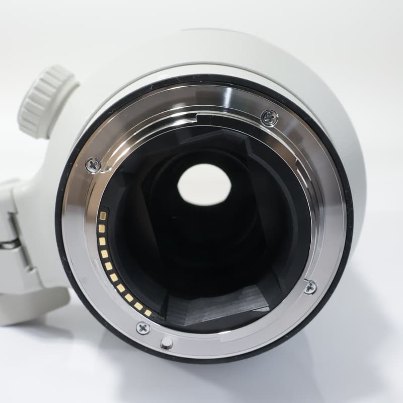 FE 100-400mm F4.5-5.6 GM OSS SEL100400GM