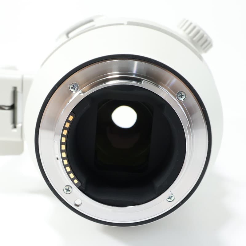 FE 200-600mm F5.6-6.3 G OSS SEL200600G