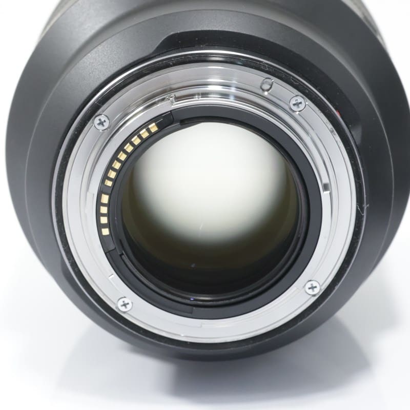 RF85mm F1.2 L USM DS