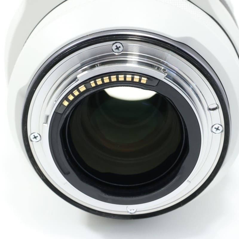 RF70-200mm F2.8 L IS USM