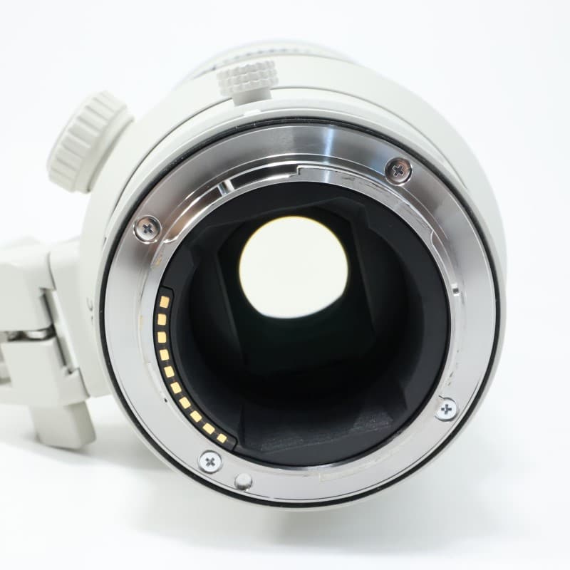 FE 300mm F2.8 GM OSS SEL300F28GM