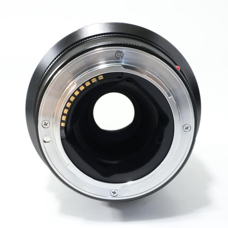 MACRO APO-LANTHAR 110mm F2.5 E-mount