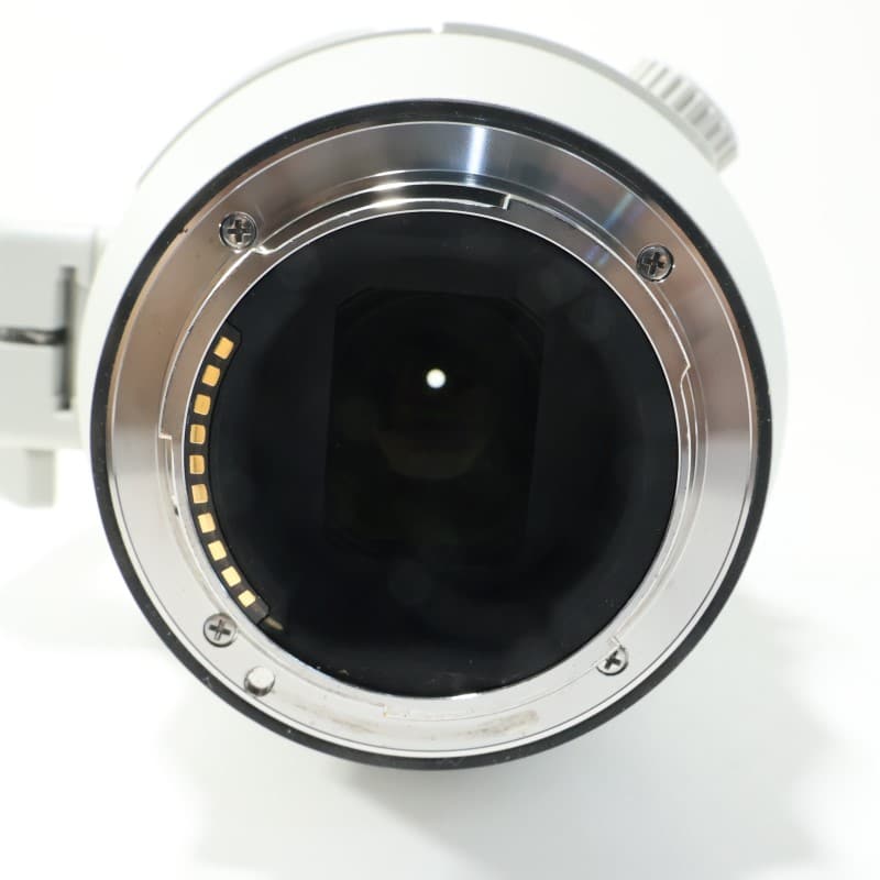 FE 200-600mm F5.6-6.3 G OSS SEL200600G