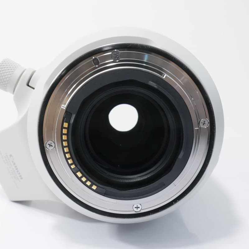 RF100-500mm F4.5-7.1 L IS USM