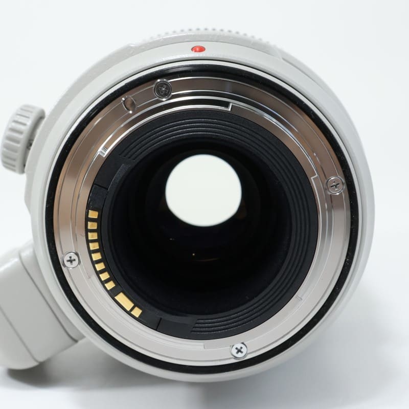 EF100-400mm F4.5-5.6L IS II USM