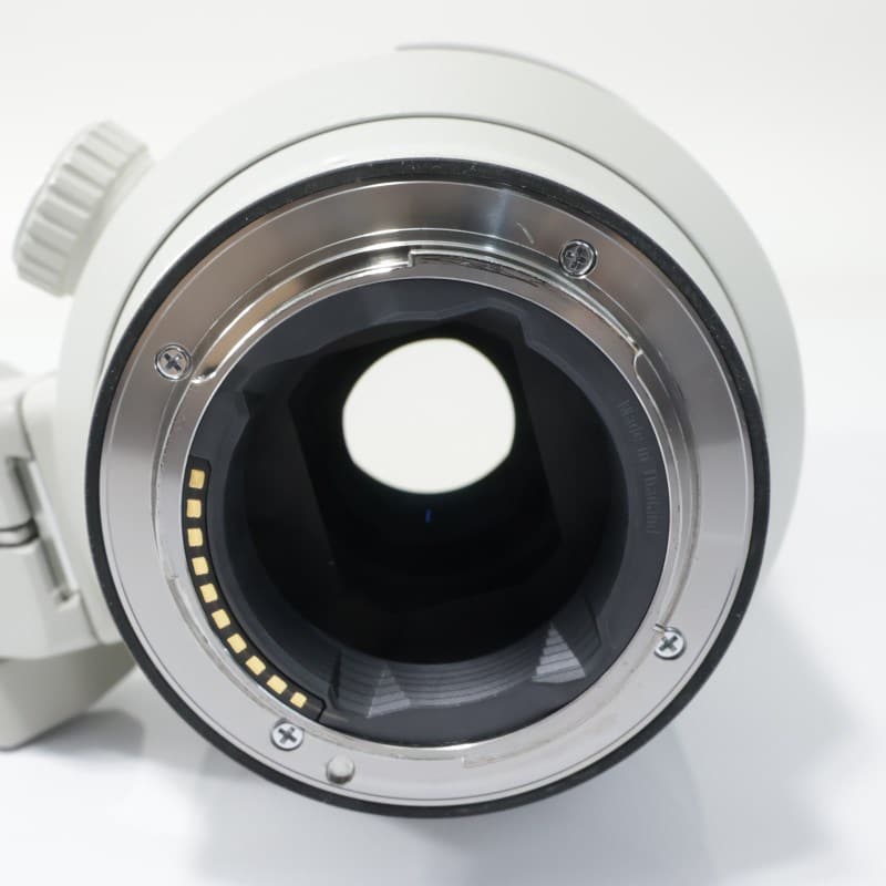 FE 70-200mm F2.8 GM OSS SEL70200GM
