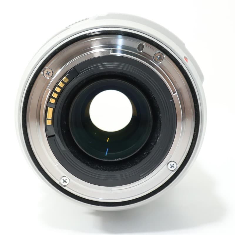 EF 70-300mm F4-5.6 L IS USM
