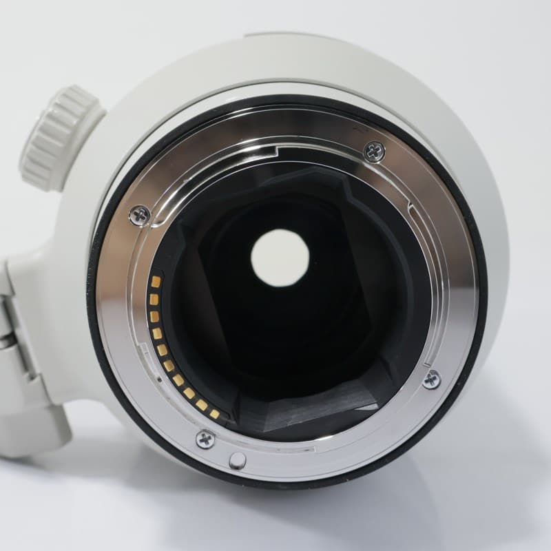 FE 100-400mm F4.5-5.6 GM OSS SEL100400GM