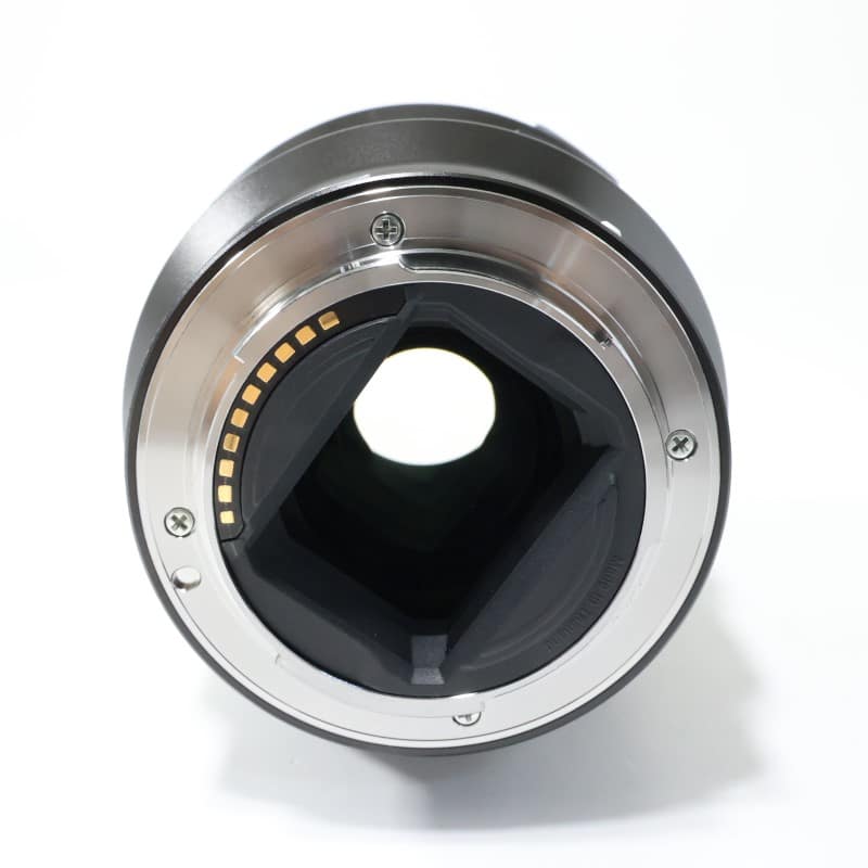 FE 90mm F2.8 Macro G OSS SEL90M28G