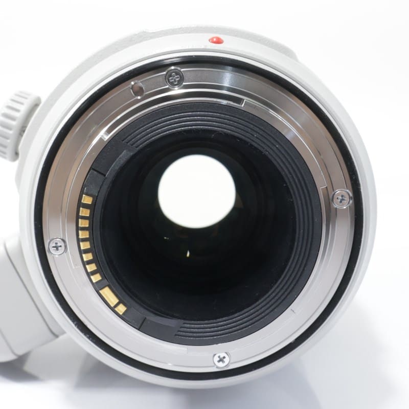 EF100-400mm F4.5-5.6L IS II USM