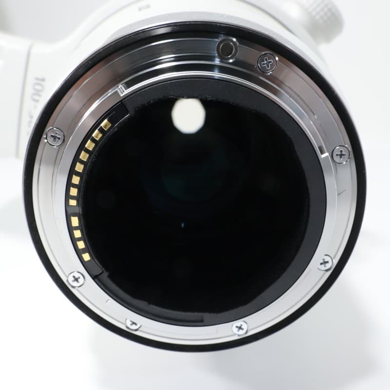 RF100-300mm F2.8 L IS USM