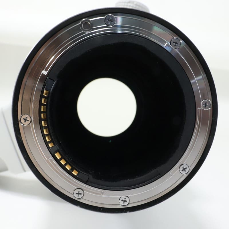 RF100-300mm F2.8 L IS USM