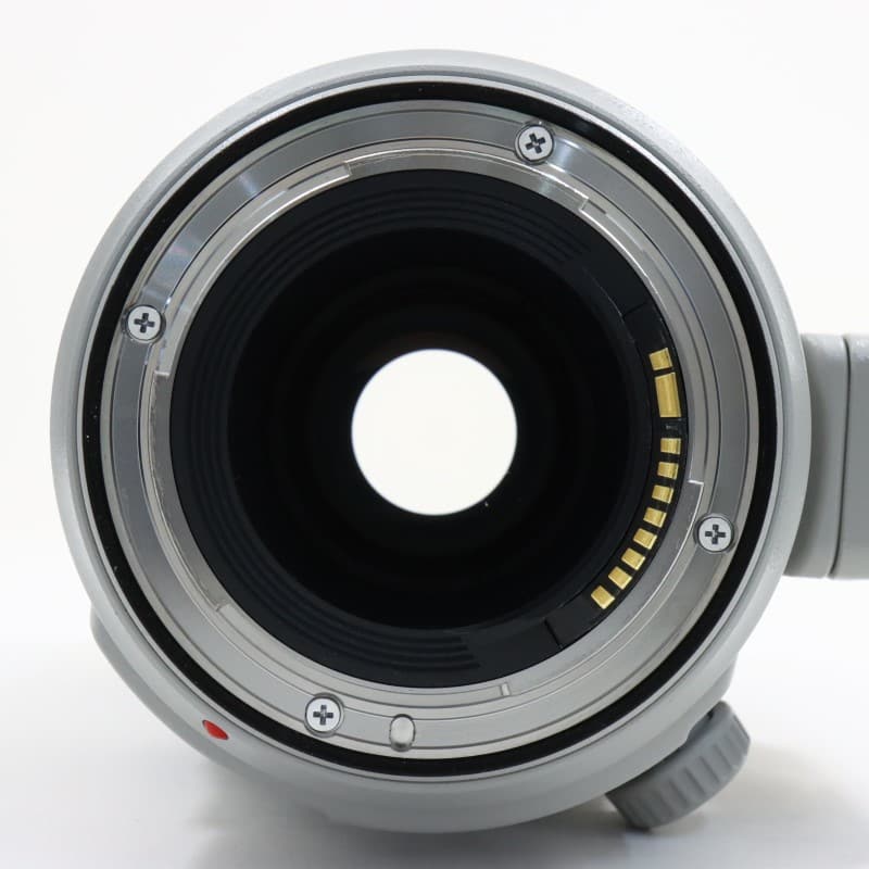 EF100-400mm F4.5-5.6L IS II USM