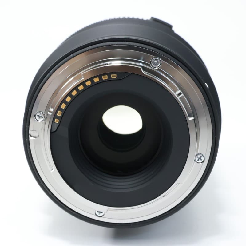 Sigma 16-300mm F3.5-6.7 DC OS | Contemporary ソニーE