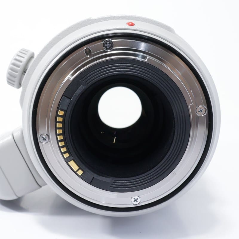 Canon EF100-400mm F4.5-5.6L IS II USM ABランク 中古｜フジヤカメラ
