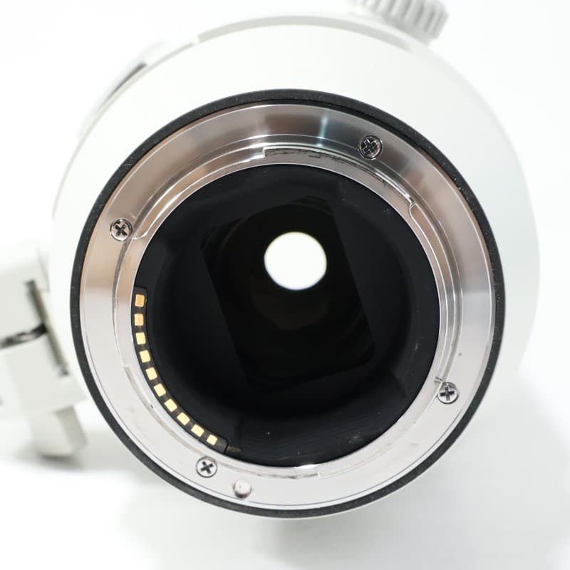 FE 200-600mm F5.6-6.3 G OSS SEL200600G