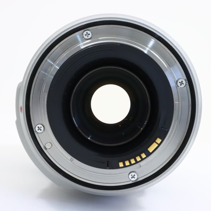 EF 70-300mm F4-5.6 L IS USM