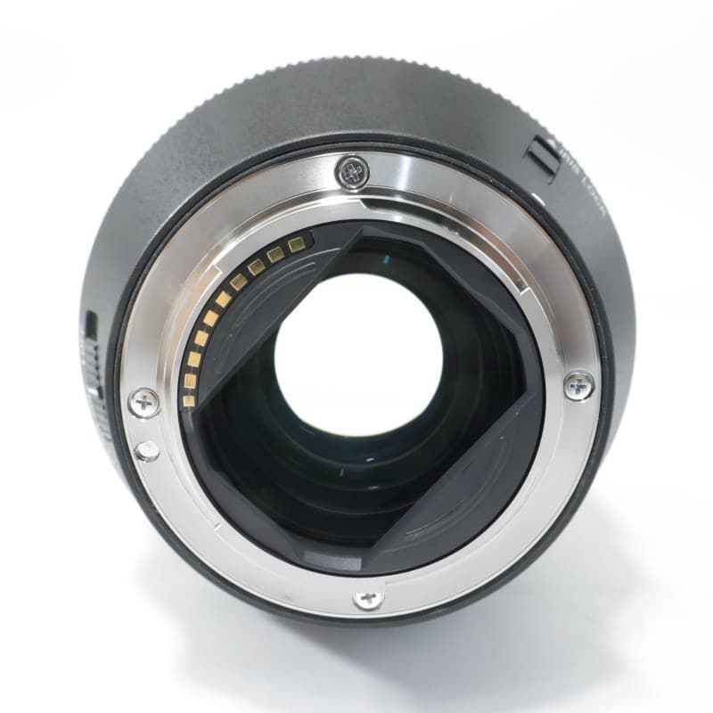 FE 28-70mm F2 GM SEL2870GM