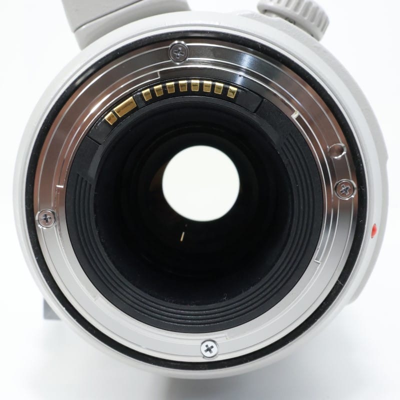 EF100-400mm F4.5-5.6L IS II USM