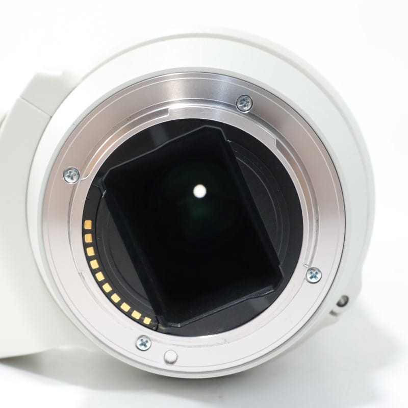 FE 70-200mm F4 G OSS SEL70200G