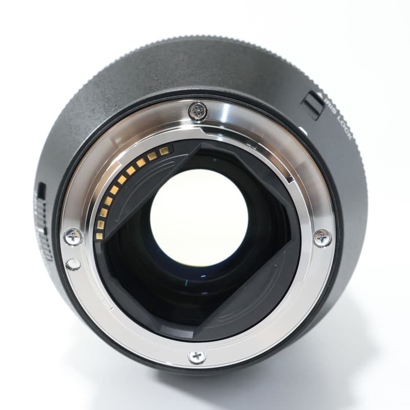 FE 28-70mm F2 GM SEL2870GM
