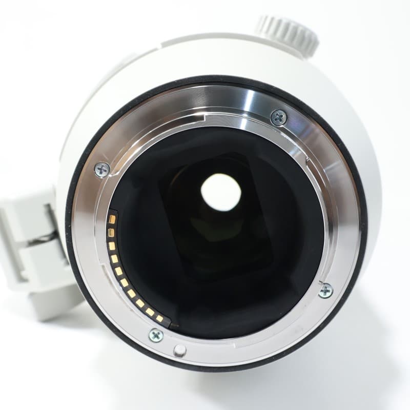 FE 200-600mm F5.6-6.3 G OSS SEL200600G