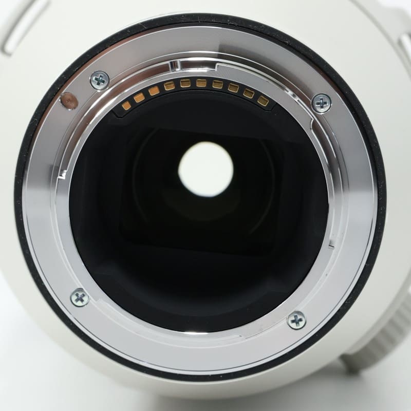 FE 200-600mm F5.6-6.3 G OSS SEL200600G