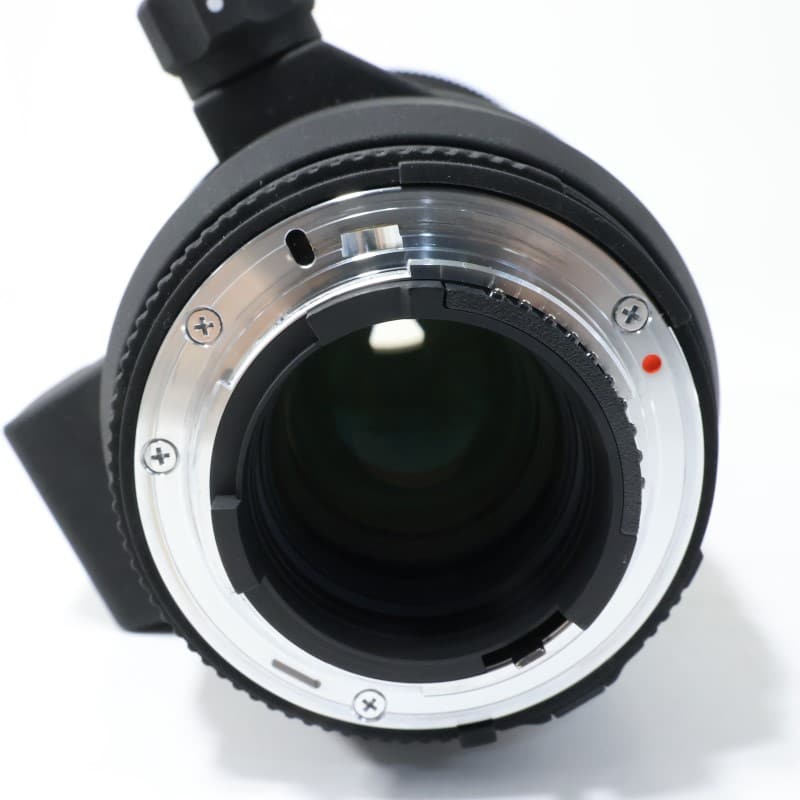 APO 100-300mm F4 EX DG HSM ニコン