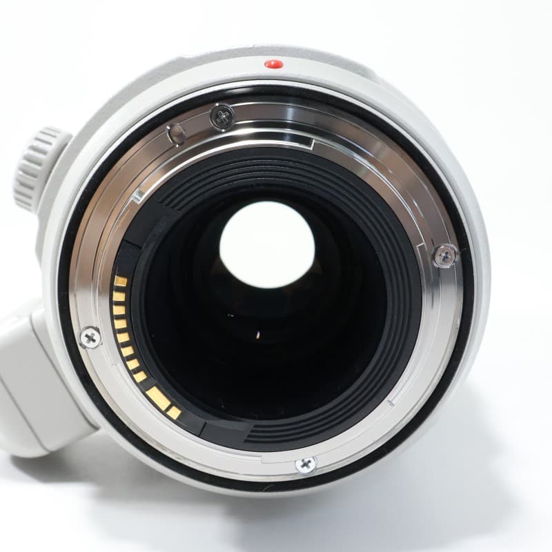 EF100-400mm F4.5-5.6L IS II USM