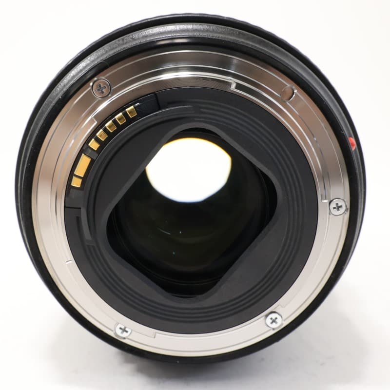 EF24-105mm F4L IS II USM