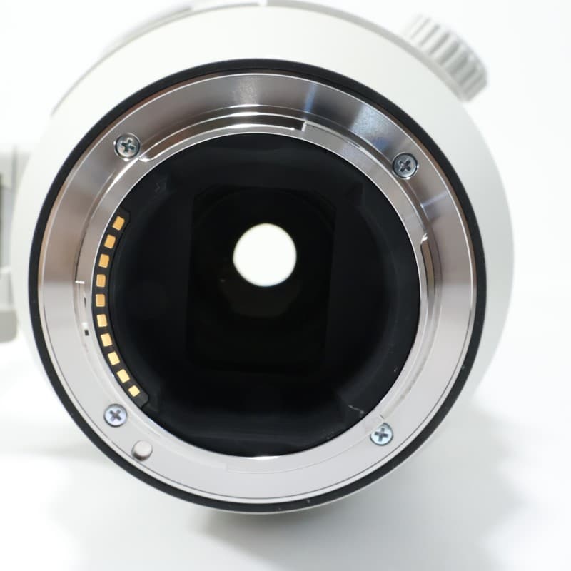 FE 200-600mm F5.6-6.3 G OSS SEL200600G