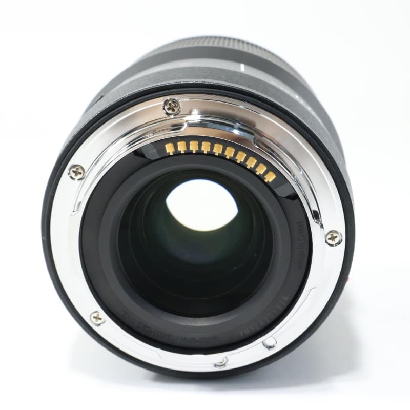 LUMIX S 100mm F2.8 MACRO S-E100