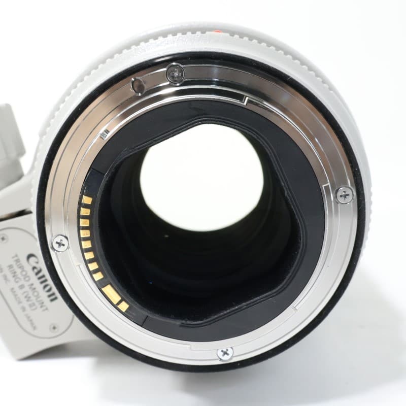 EF70-200mm F2.8L IS III USM