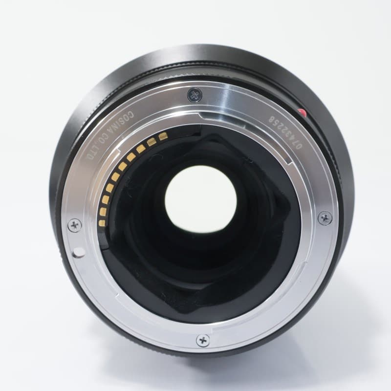 MACRO APO-LANTHAR 110mm F2.5 E-mount