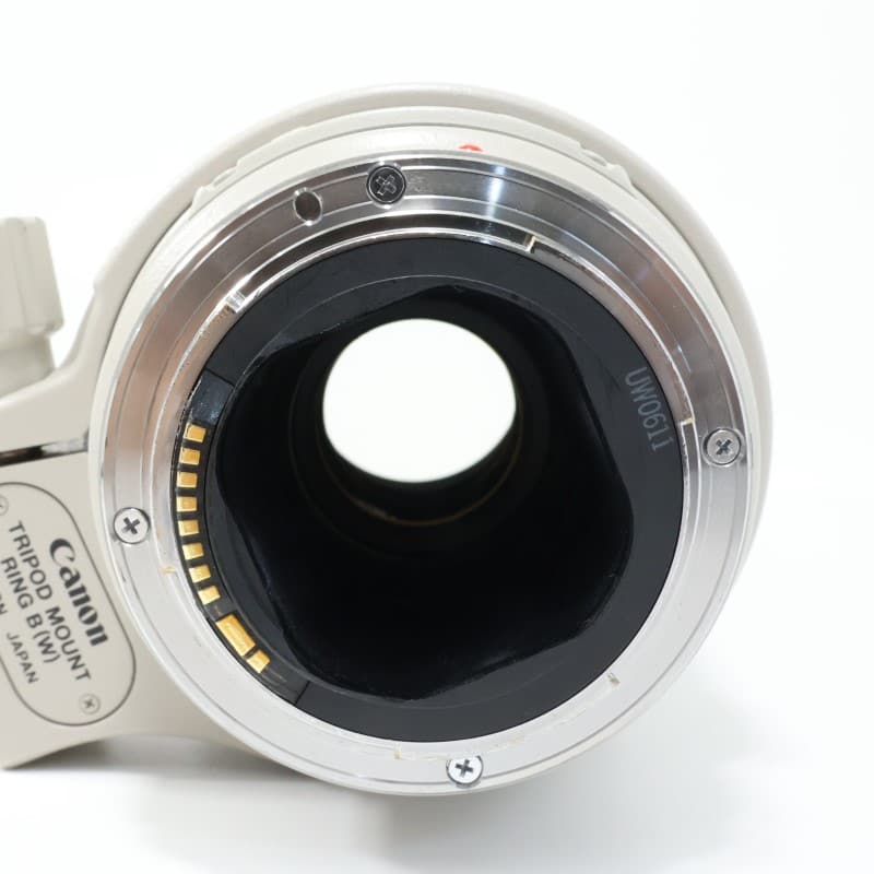EF 300mm F4 L IS USM