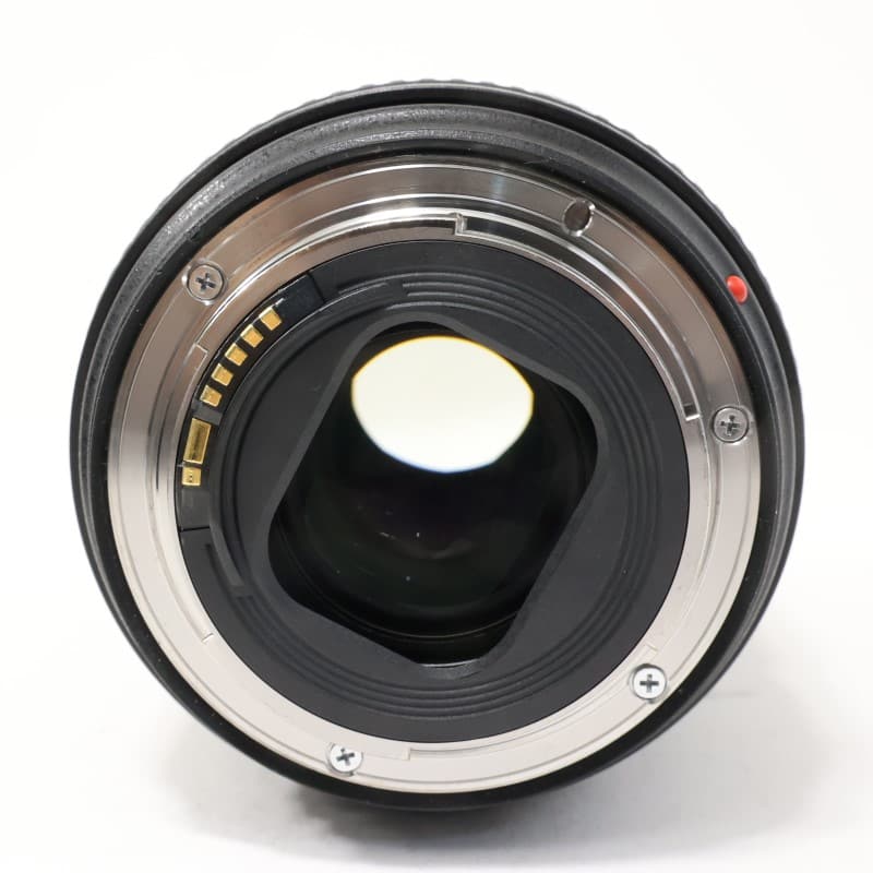 EF24-105mm F4L IS II USM