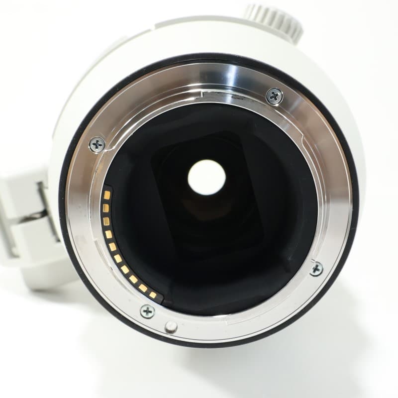 FE 200-600mm F5.6-6.3 G OSS SEL200600G