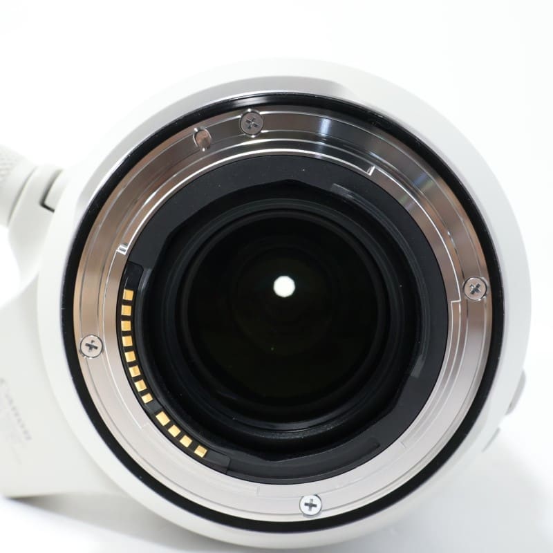 RF100-500mm F4.5-7.1 L IS USM