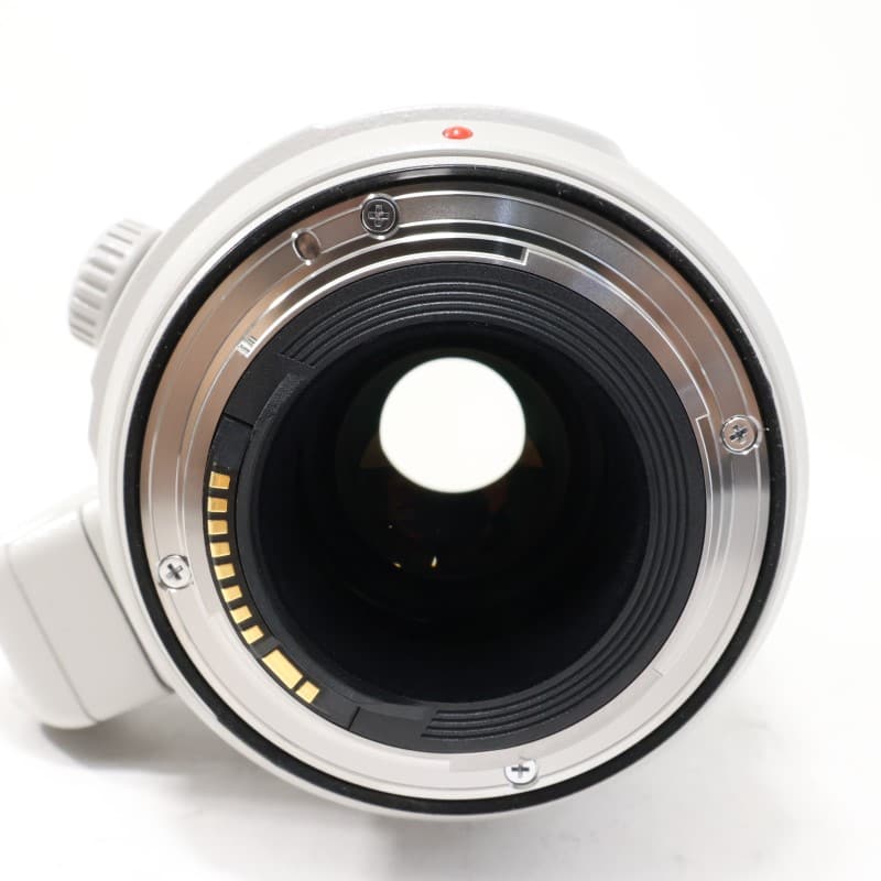 EF100-400mm F4.5-5.6L IS II USM