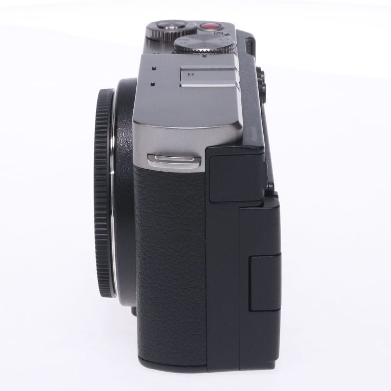 LUMIX S9 ボディ ダークシルバー DC-S9-S