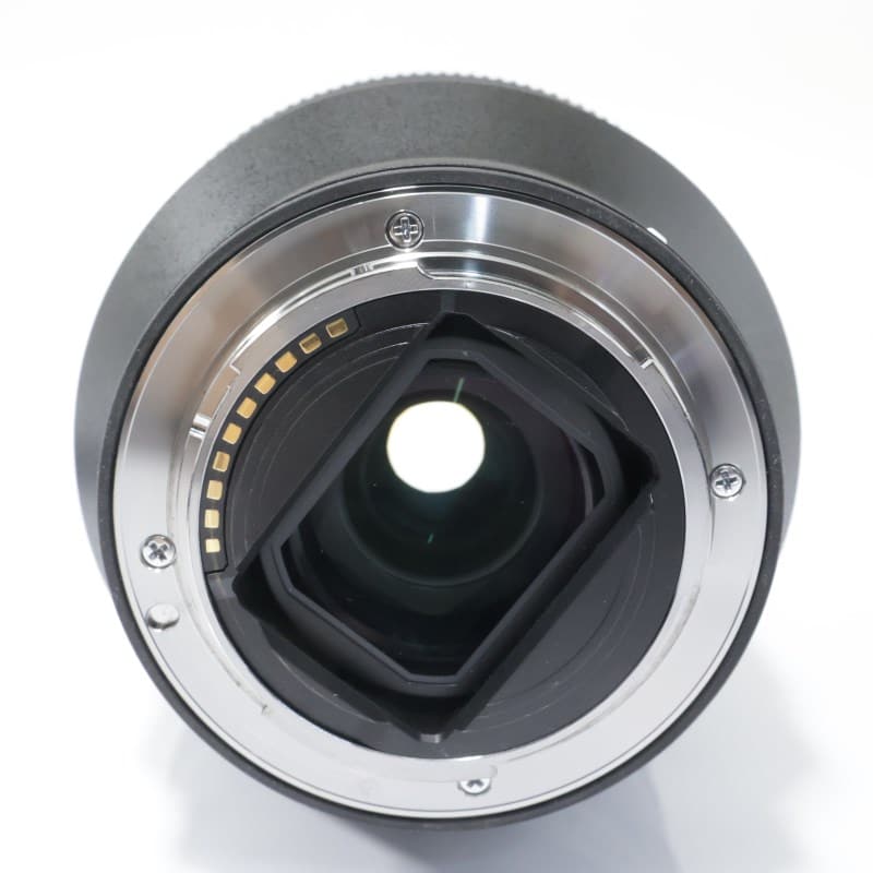 FE 24-105mm F4 G OSS SEL24105G