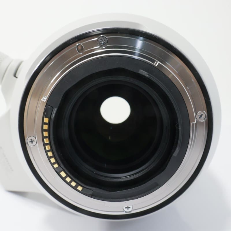 RF100-500mm F4.5-7.1 L IS USM