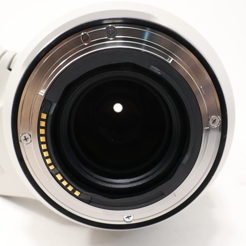RF100-500mm F4.5-7.1 L IS USM