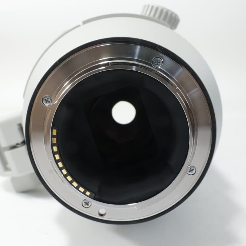 FE 200-600mm F5.6-6.3 G OSS SEL200600G