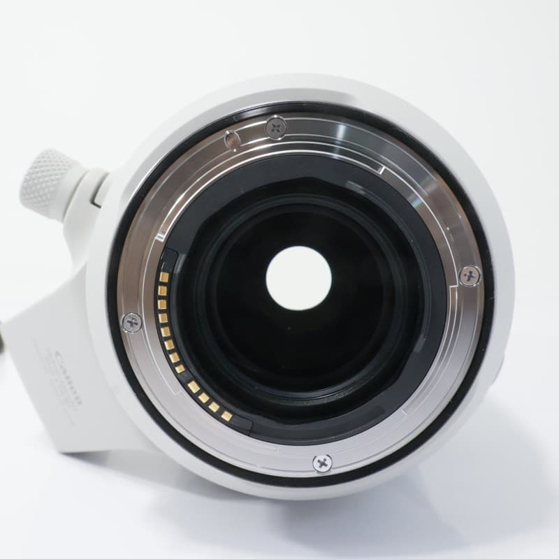 RF100-500mm F4.5-7.1 L IS USM