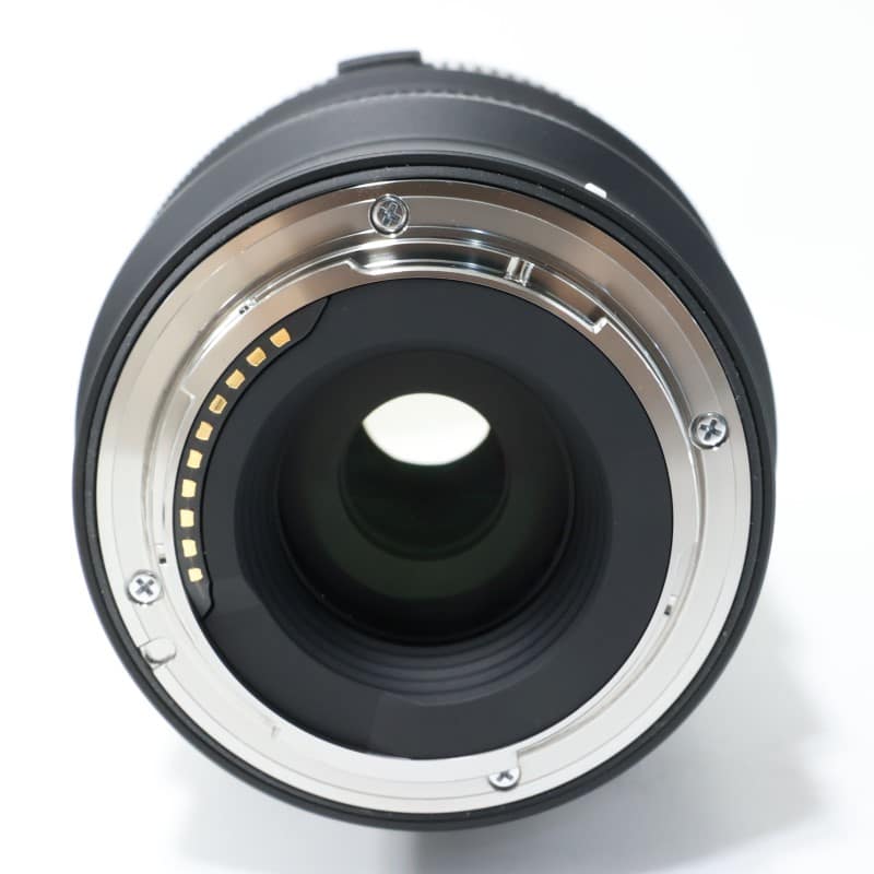 Sigma 16-300mm F3.5-6.7 DC OS | Contemporary ソニーE